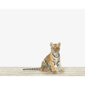 Baby Bengal Tiger Print
