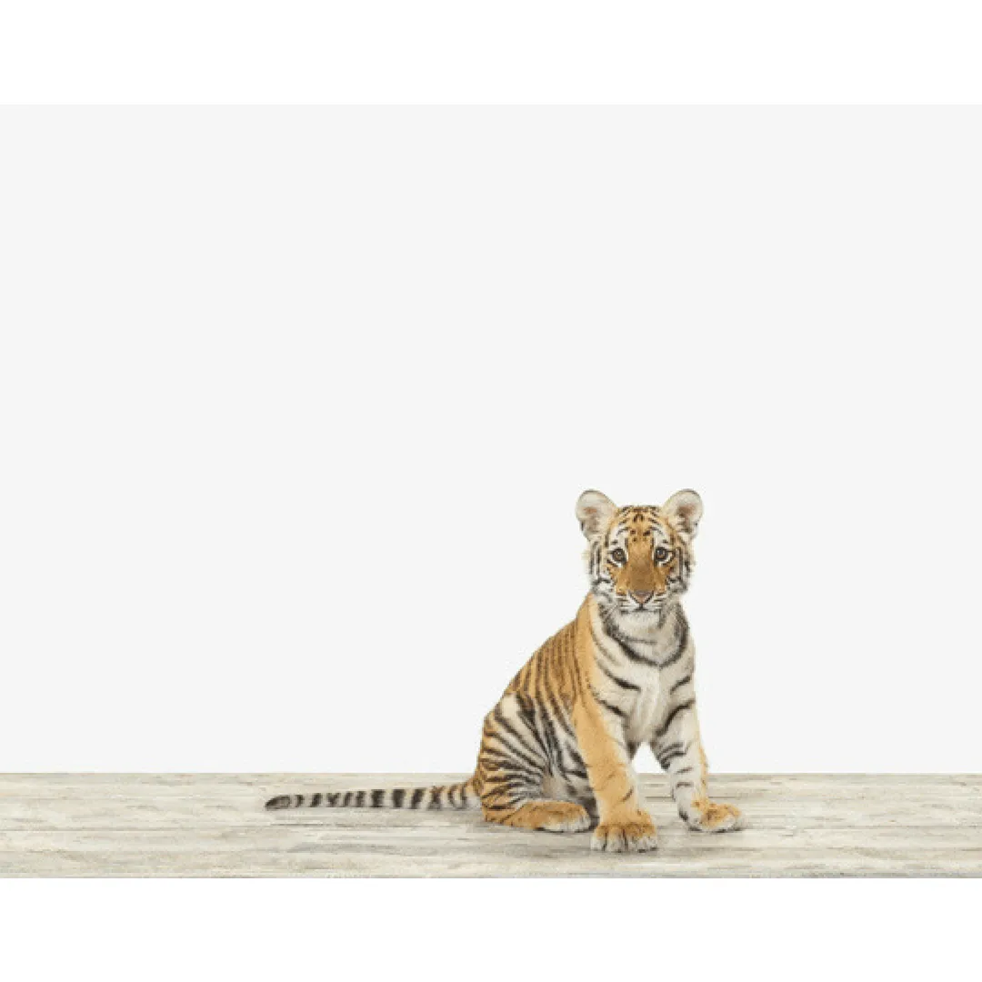 Baby Bengal Tiger Print